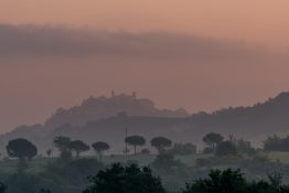 Roland Seichter Fotografie - Morning in Tuscany