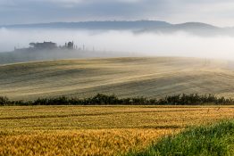 Roland Seichter Fotografie - Toscana Nella Nebbia 8